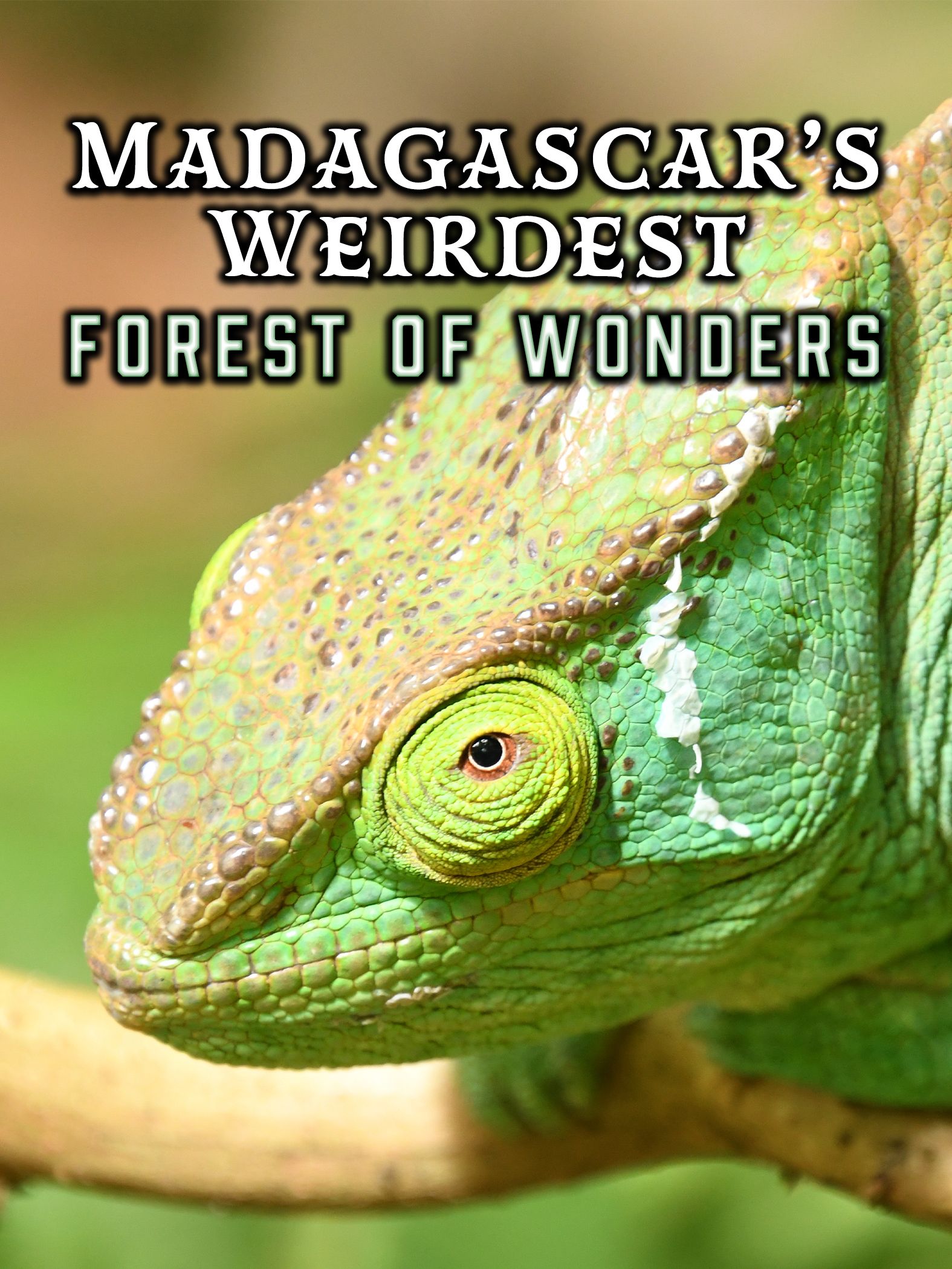 Madagascar's Weirdest: Forests of Wonders