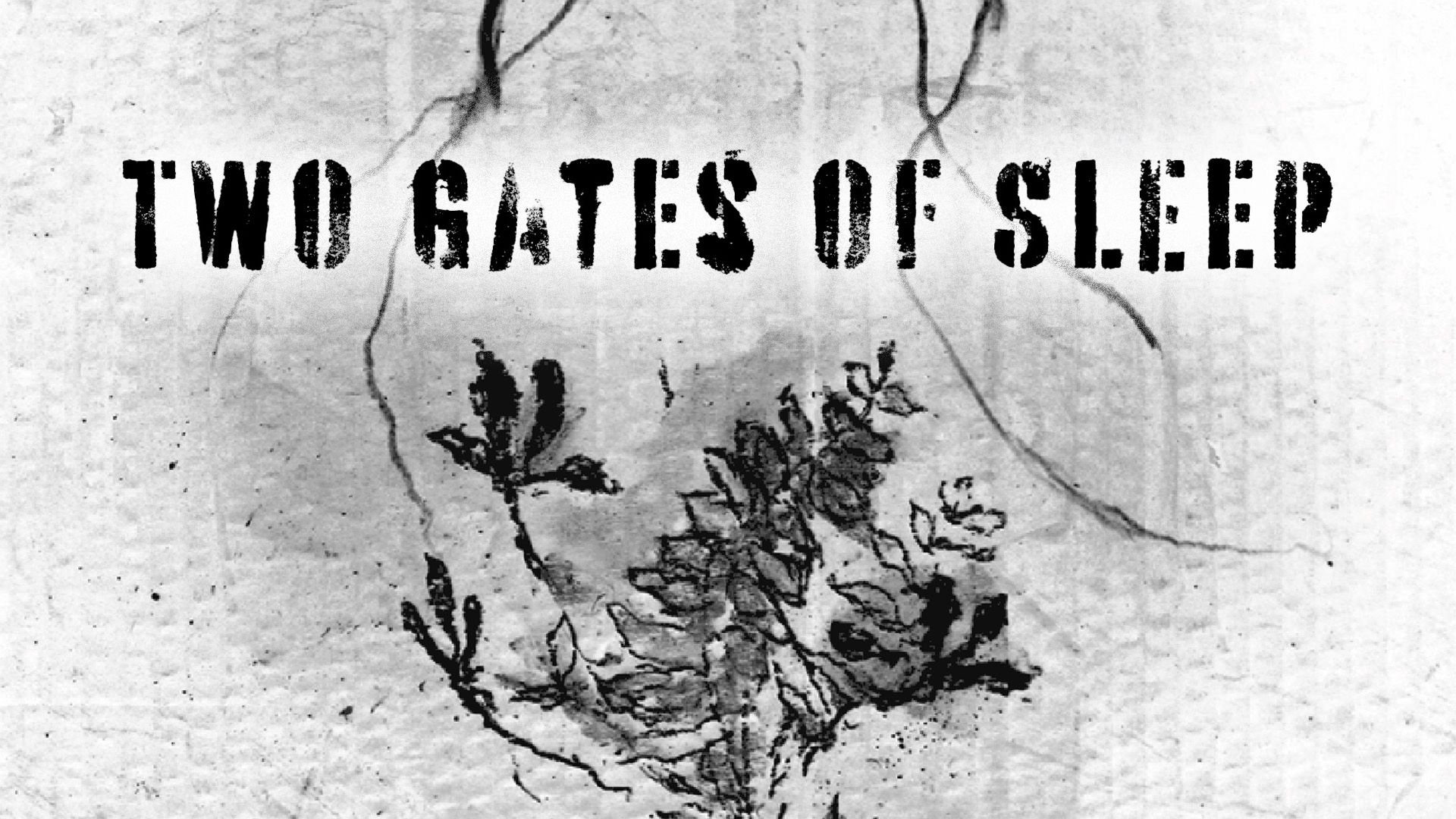 Two Gates of Sleep