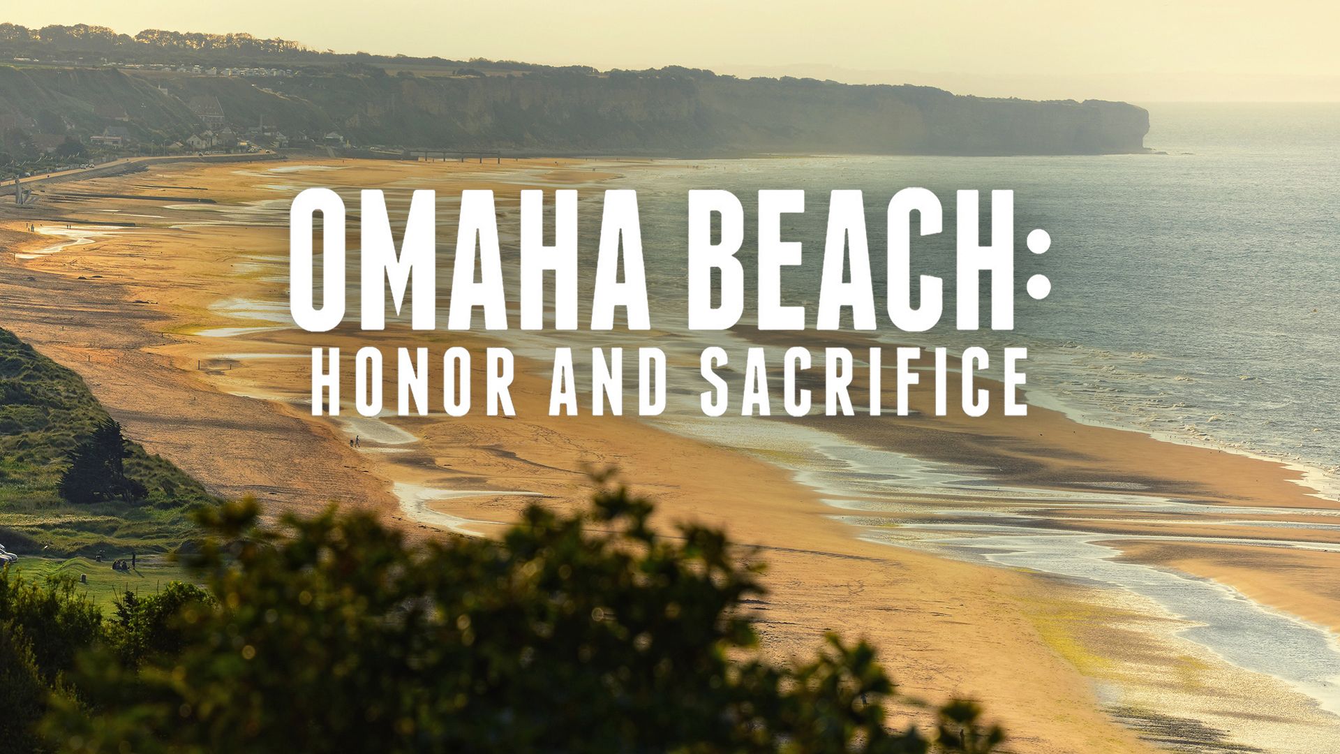 Omaha Beach: Honor and Sacrifice