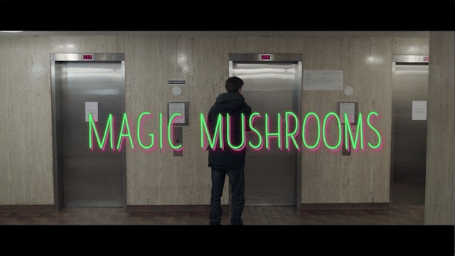 Magic Mushrooms Trailer
