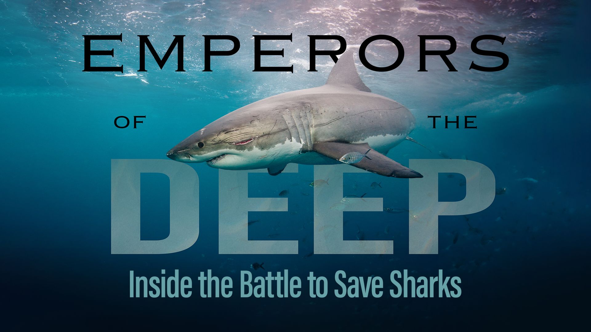 Emperors of the Deep: Inside the Battle to Save Sharks