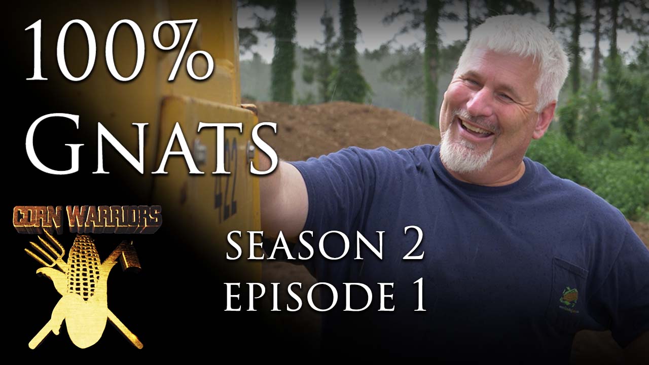100 Percent Gnats