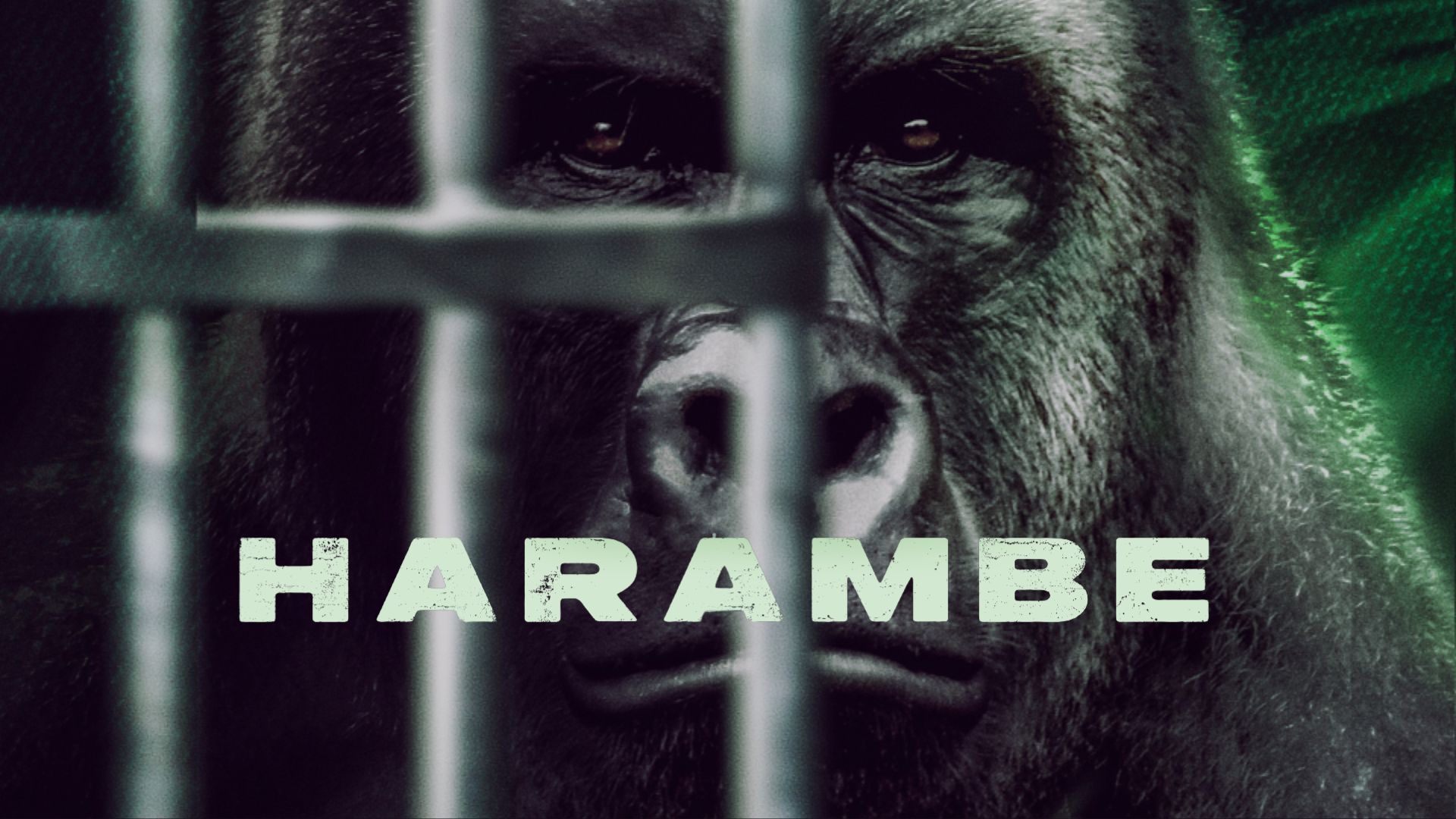 Harambe