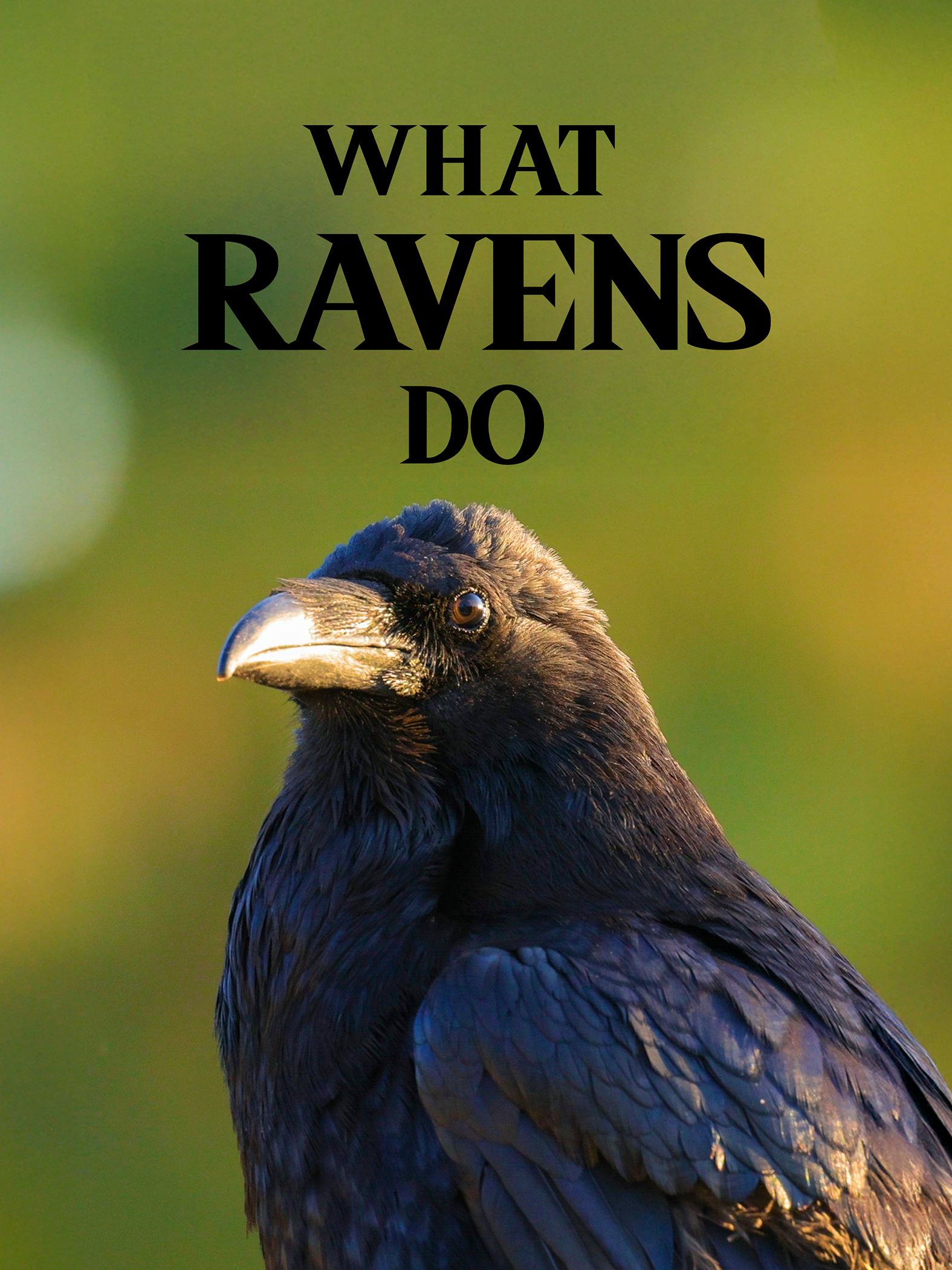 What Ravens Do