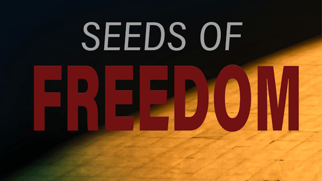 Seeds of Freedom - Live Benefit