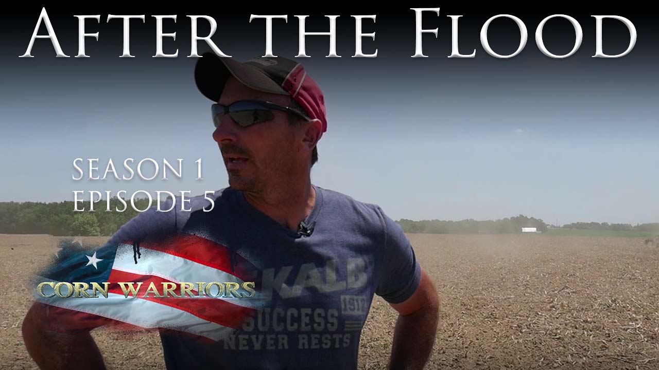 After the Flood, Game On