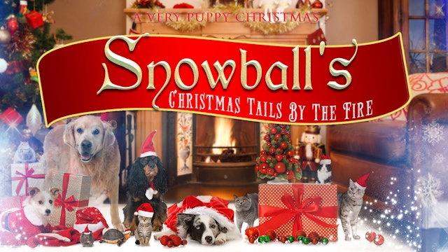 Snowballs' Christmas Tails By The Fire