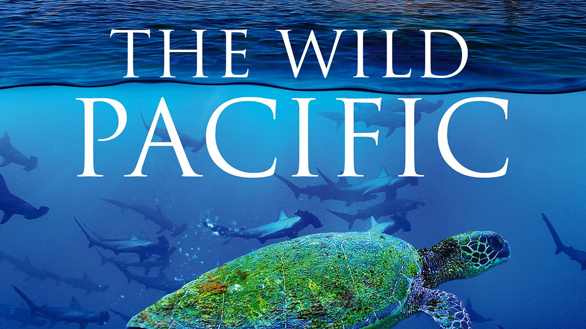 The Wild Pacific