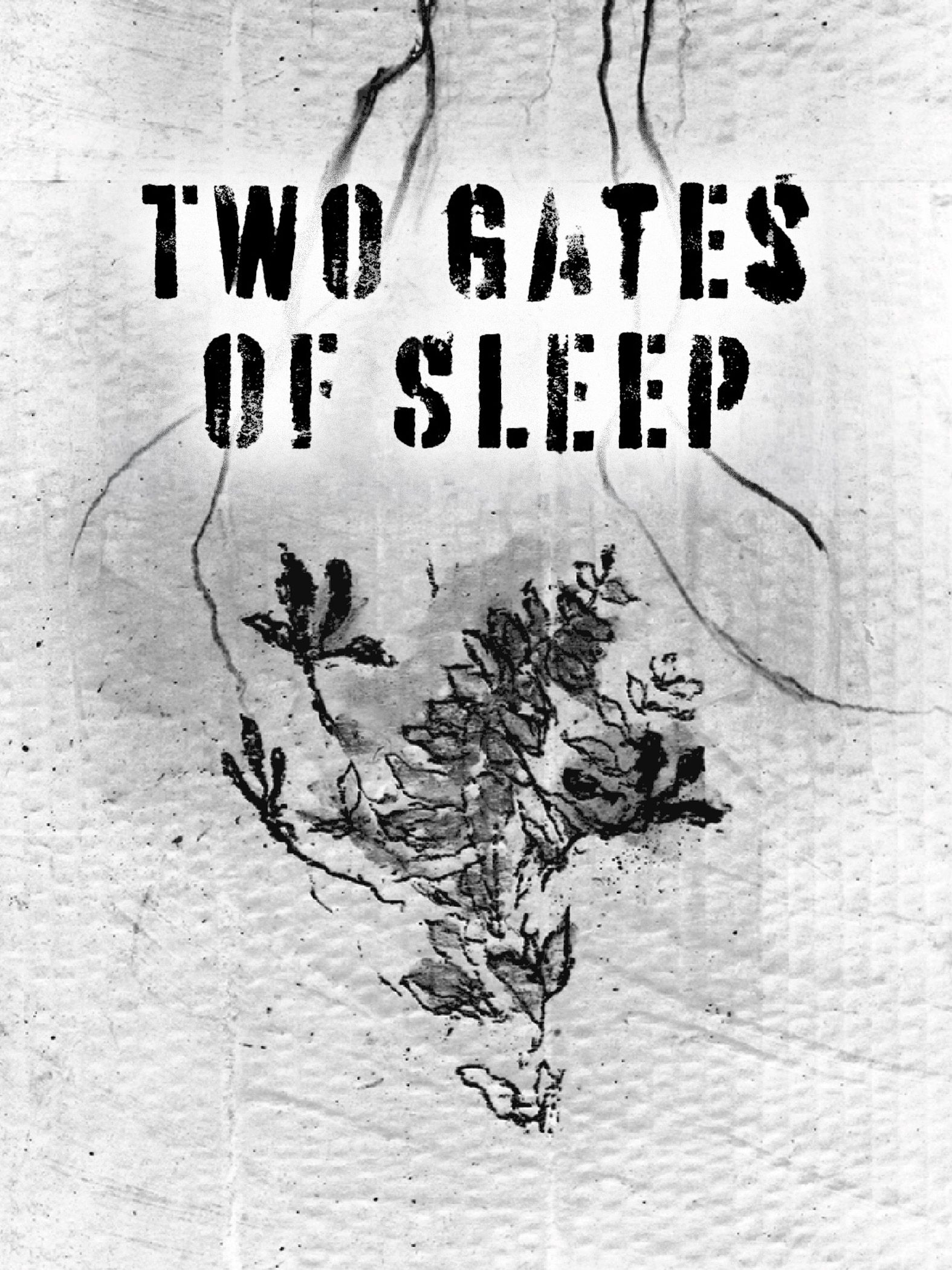 Two Gates of Sleep