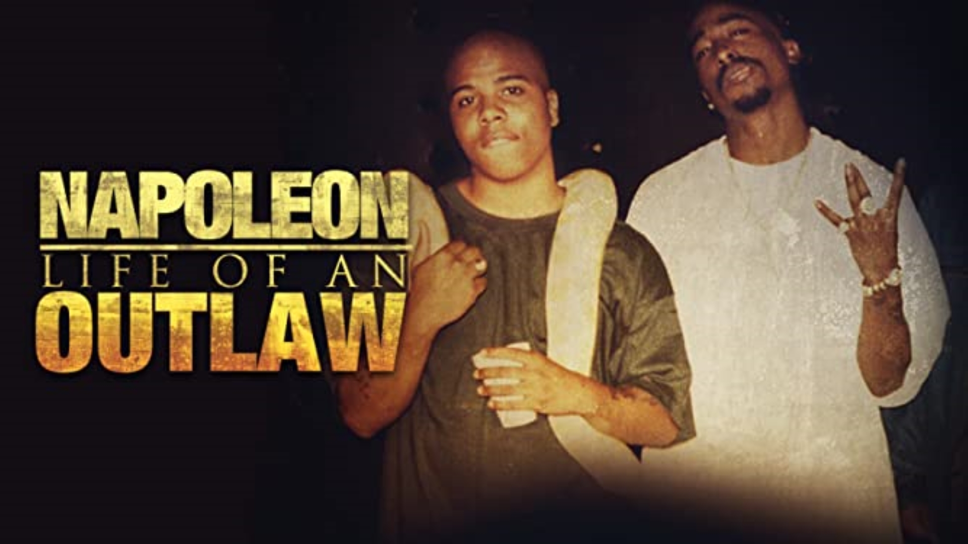 Napoleon: Life of an Outlaw