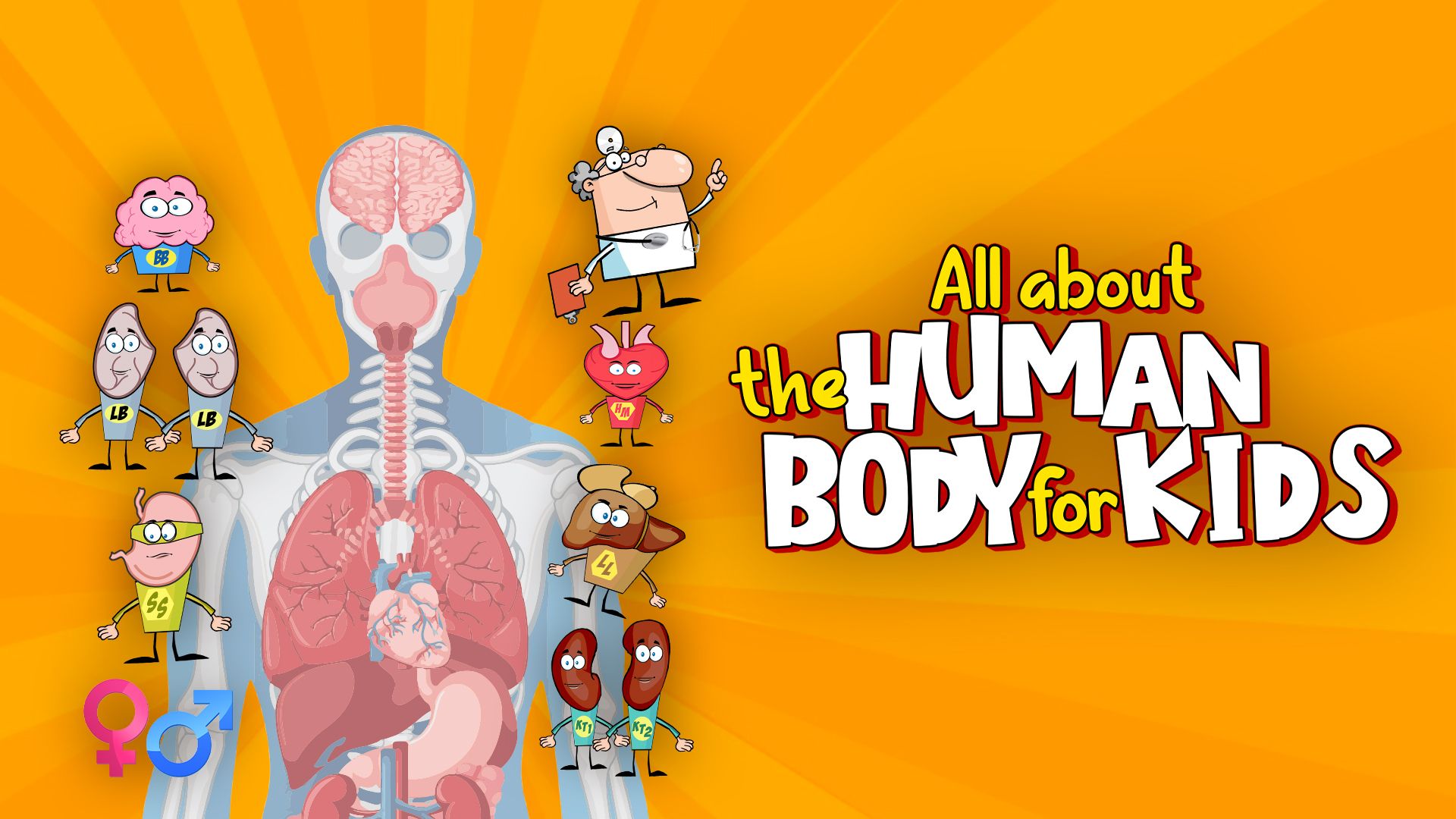 All About The Human Body For Kids