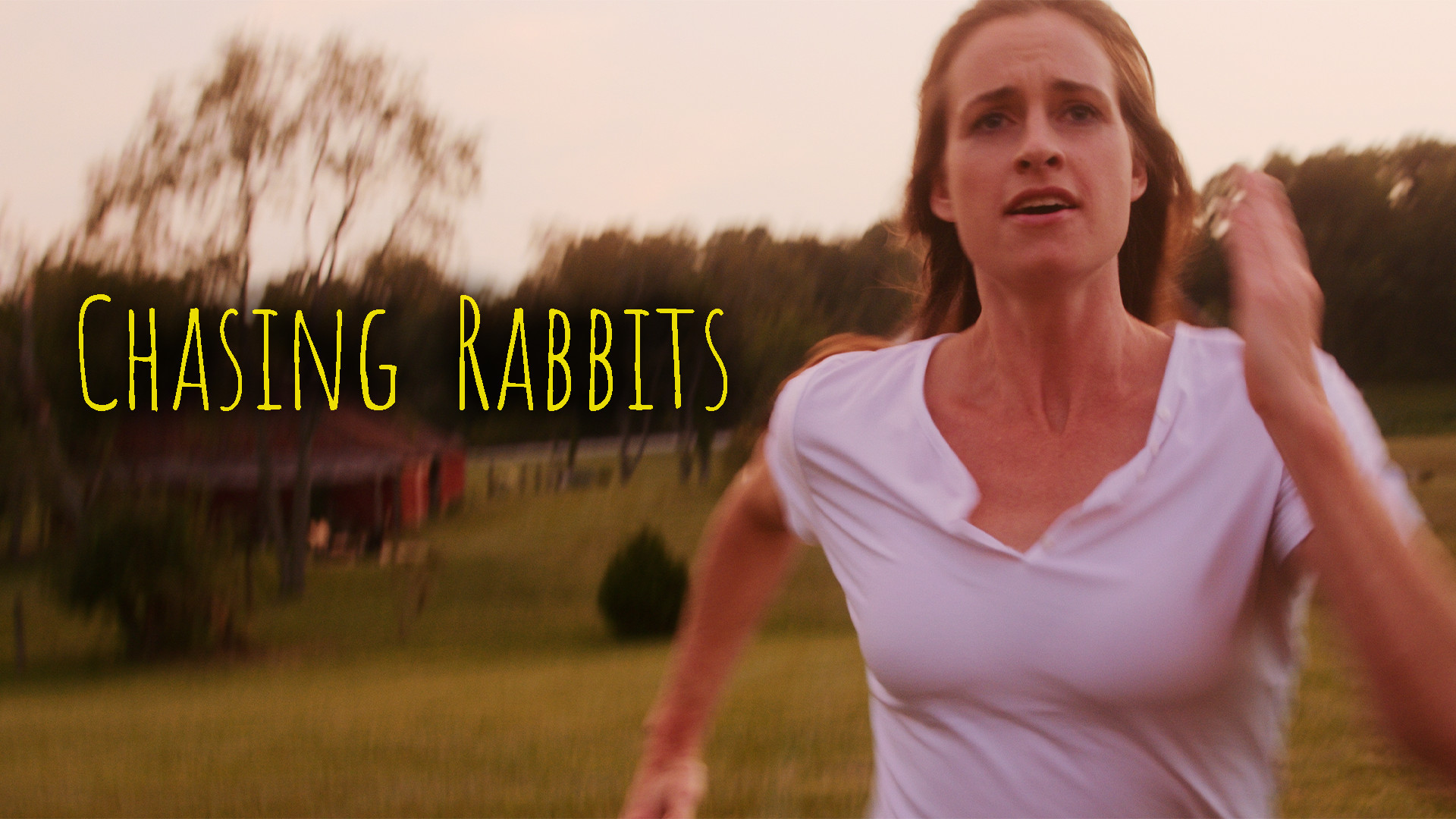Chasing Rabbits