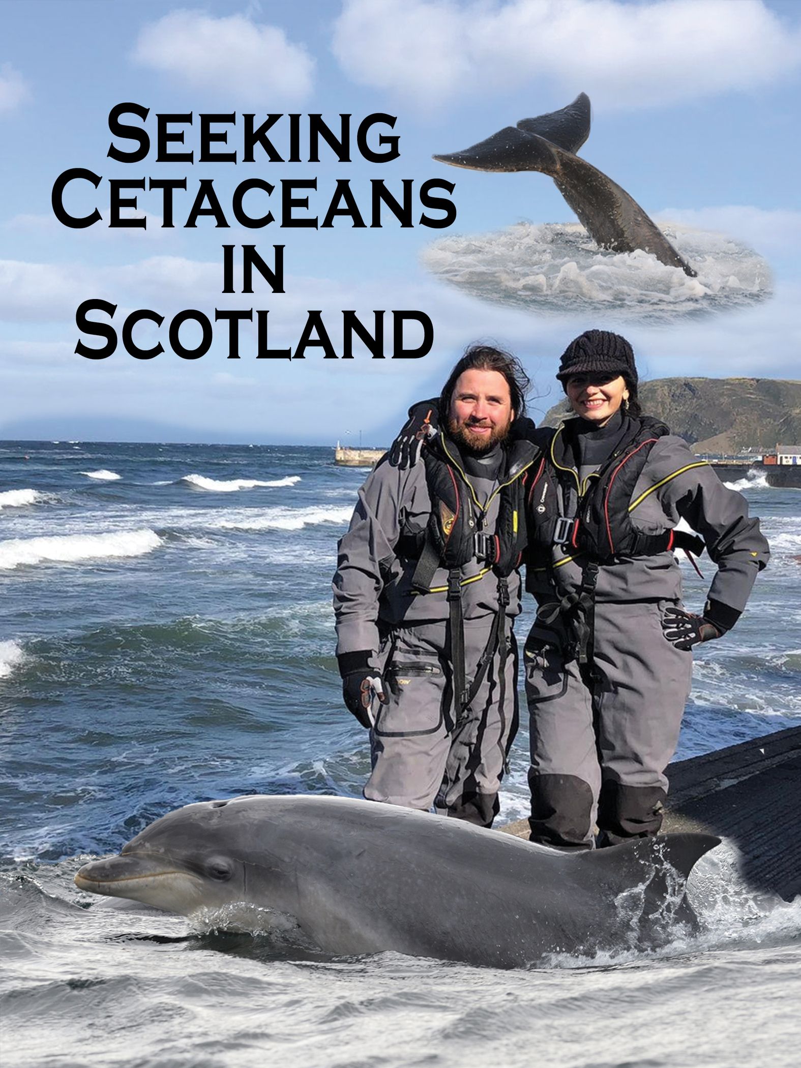 Seeking Cetaceans in Scotland