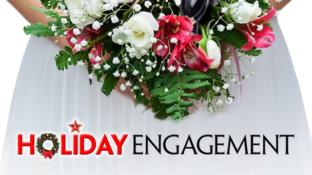 A Holiday Engagement