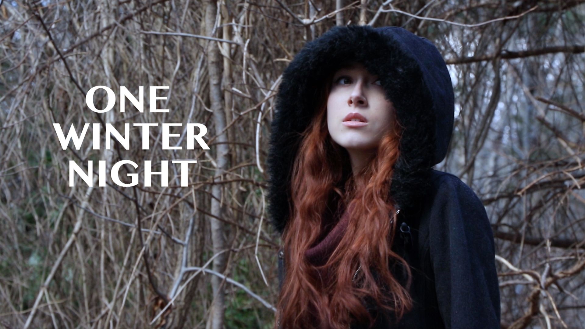 One Winter Night