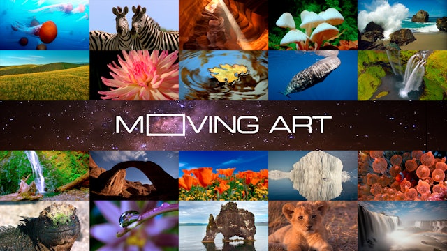 Moving Art: Volume 1