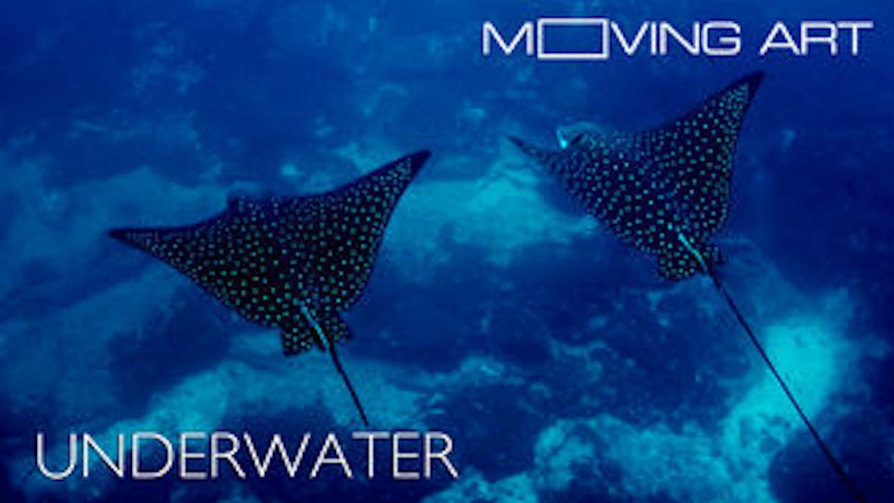 Moving Art: Season 1: Underwater