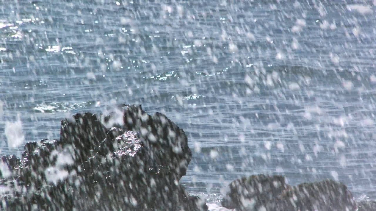 Moving Art Season 2 Big Sur Moving Art Volume 2