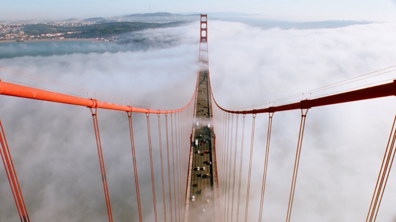 Golden Gate Wonder