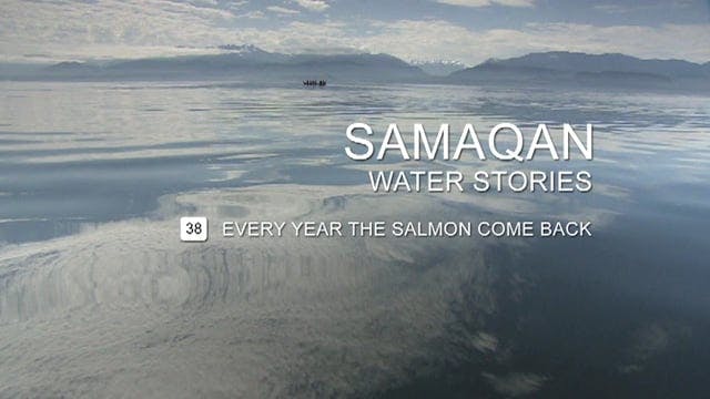 SAMAQAN S3E38 Every Year the Salmon Come Back