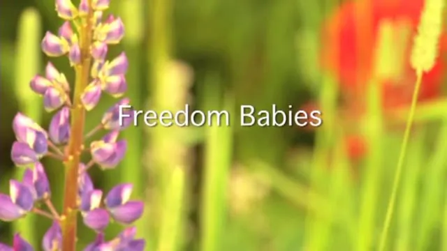 Freedom Babies
