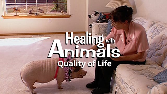 Healing with Animals: Quality of Life