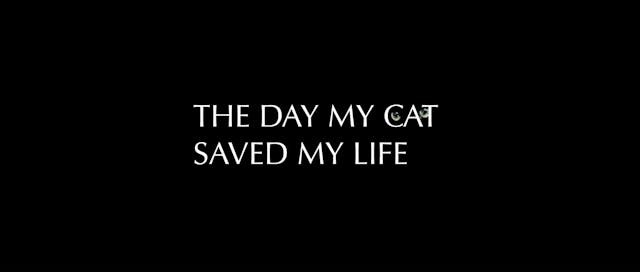 The Day My Cat Saved My Life