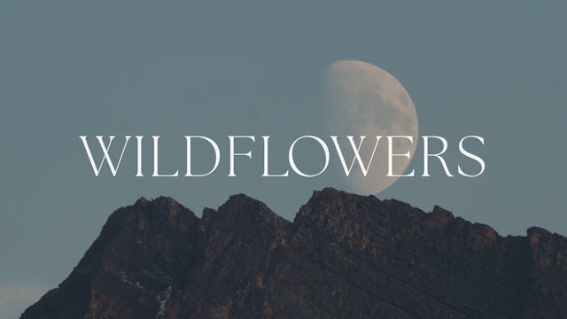 Wildflowers