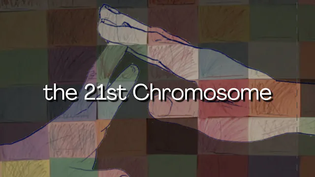 The 21st Chromosome
