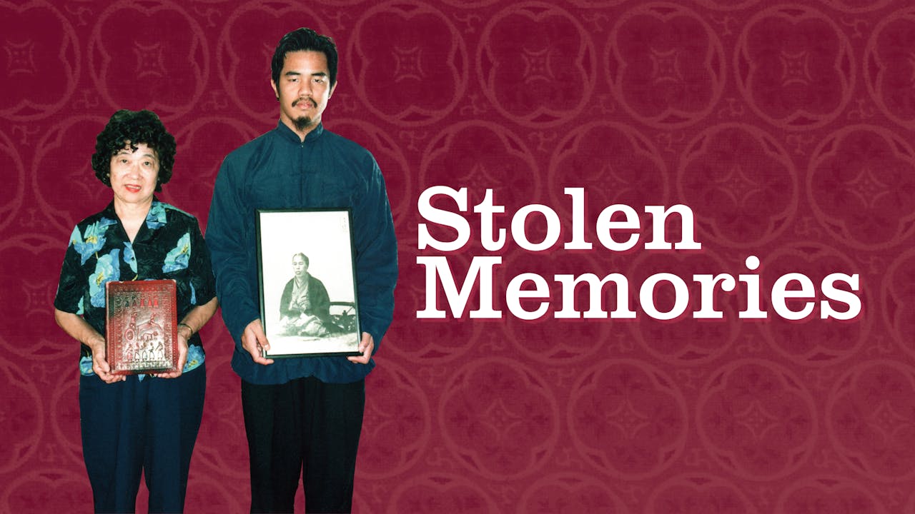 Stolen Memories