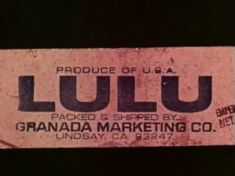 Lulu's Back in Town