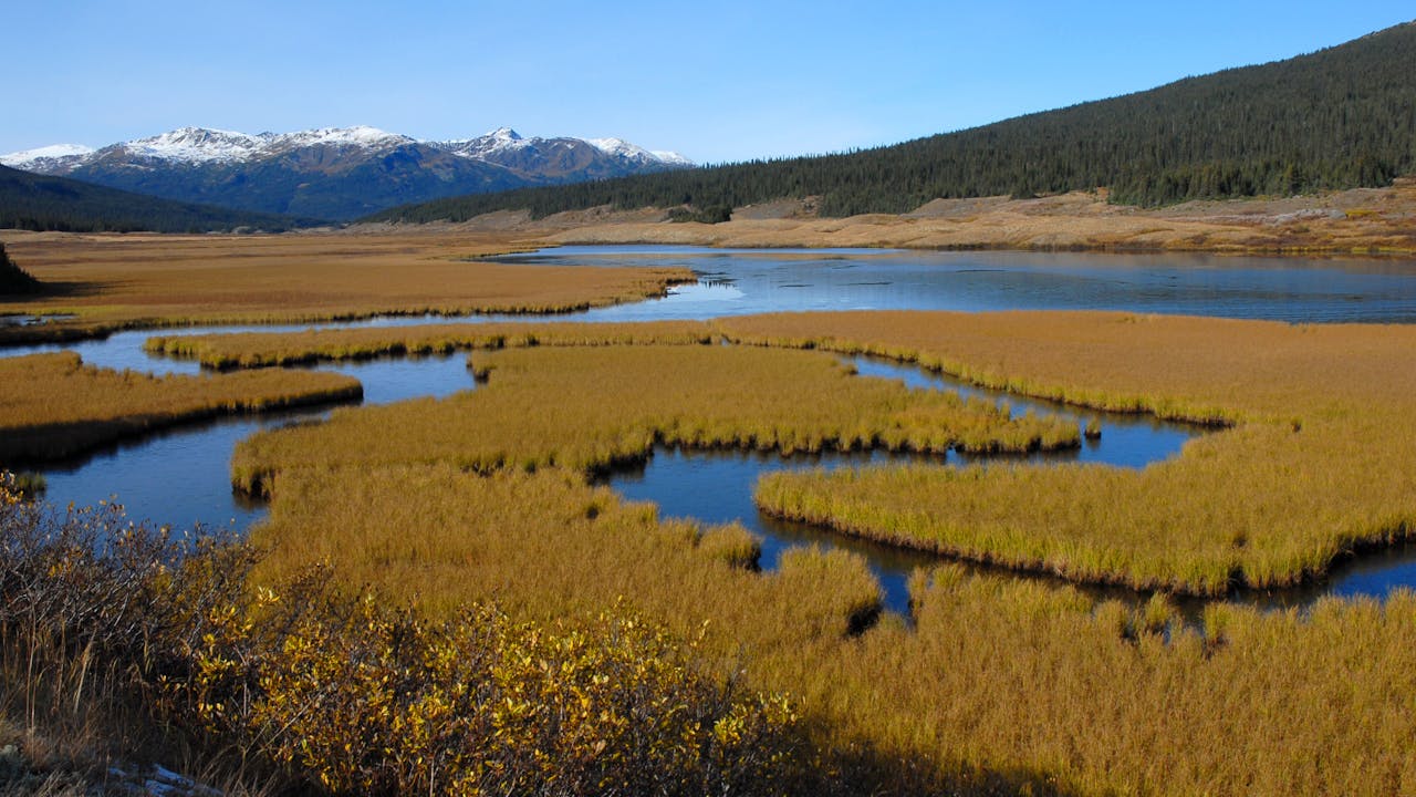 SAMAQAN: Sacred Head Waters: Loveman Nole