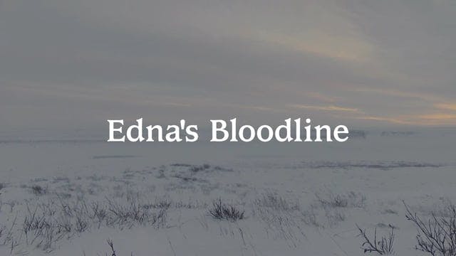 Edna's Bloodline