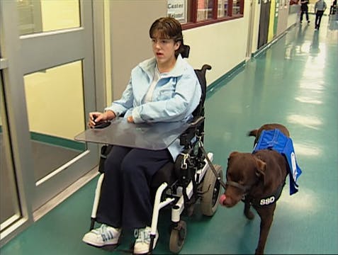 03 Healing with Animals_Cerebral Palsy