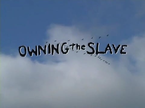 OWNING the SLAVE