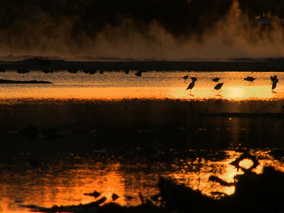 Storytellers in Motion: The Maori Voice Part 1 & 2