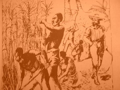 80:20: The Legacy of Colonialism