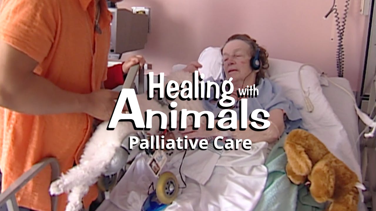 Healing with Animals: Palliative Care