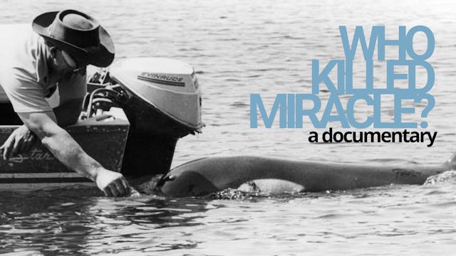 Who Killed Miracle?