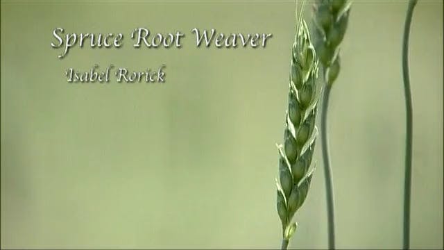 Ravens and Eagles S1E02 Spruce Root Weaver: Isabel Rorick