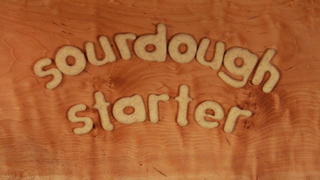 Sourdough Starter
