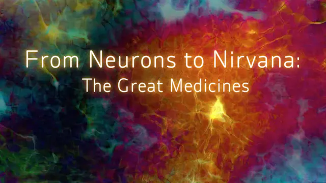 From Neurons to Nirvana: The Great Medicines