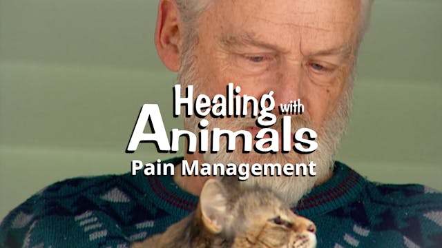 Healing with Animals: Pain Management
