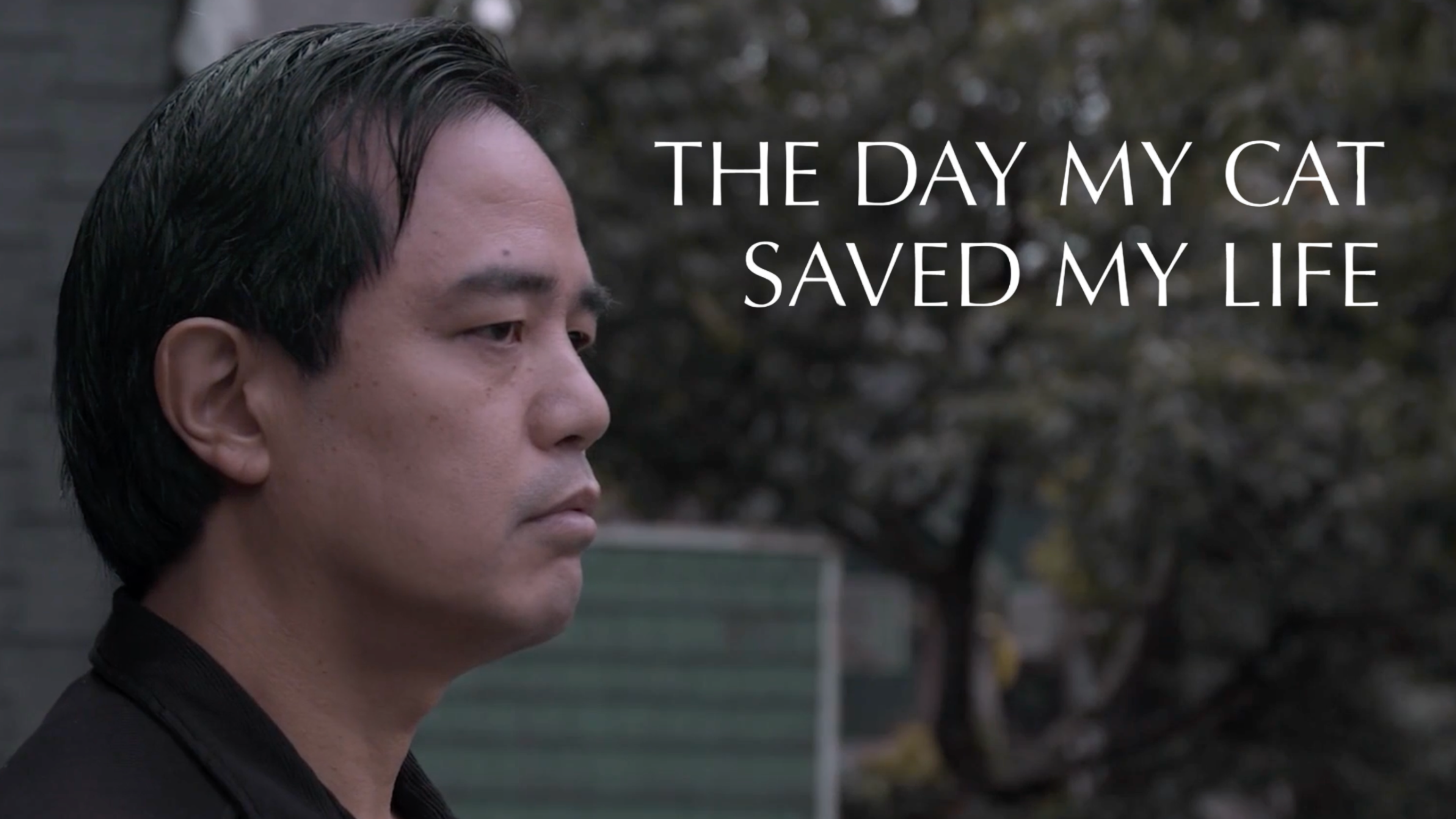 The Day My Cat Saved My Life