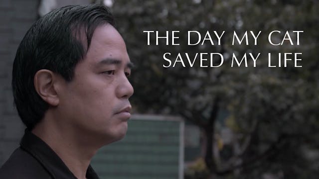 The Day My Cat Saved My Life