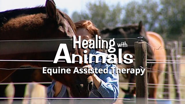 Healing with Animals: Equine Assisted Therapy