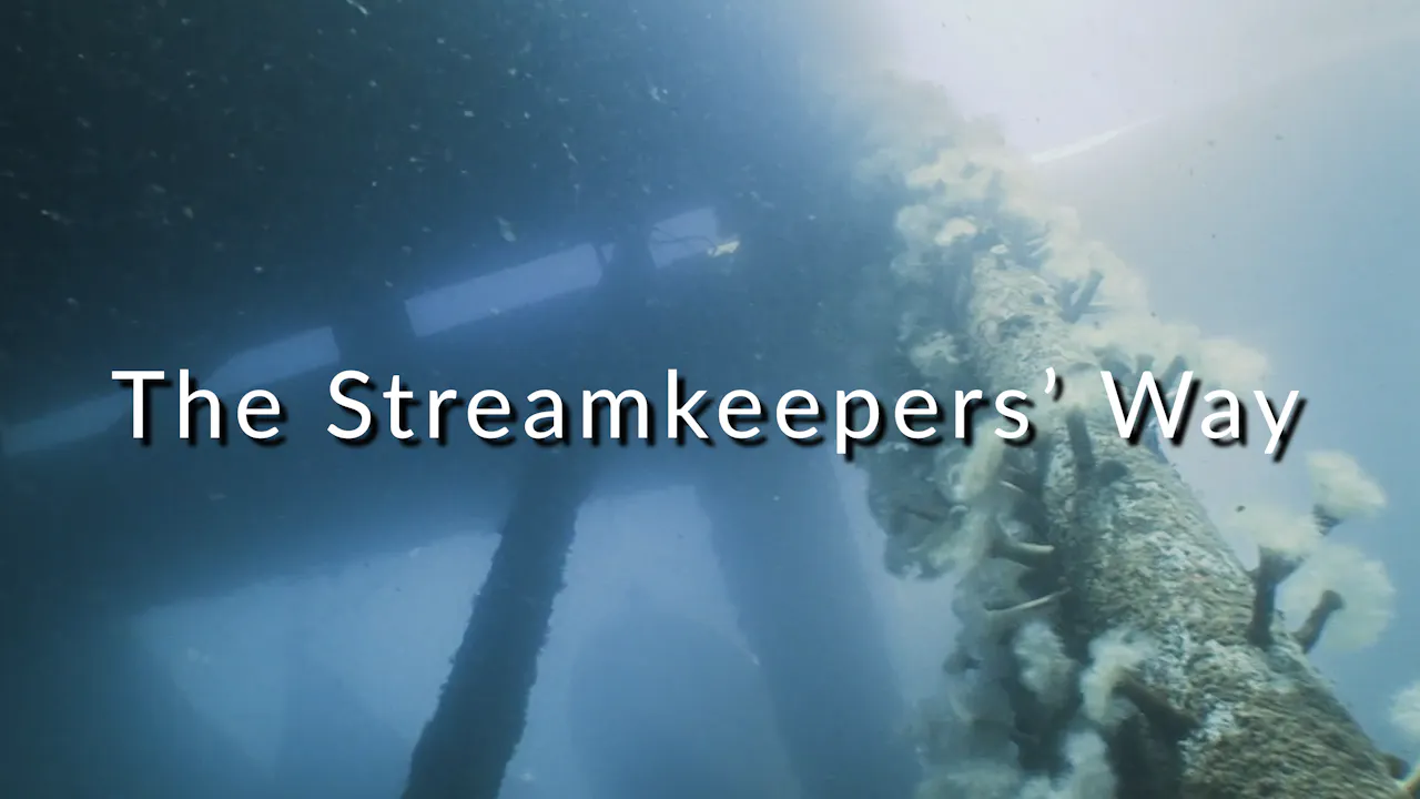 The Streamkeepers' Way