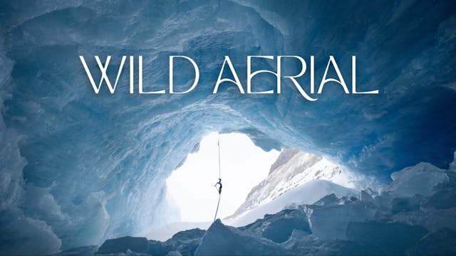 Wild Aerial
