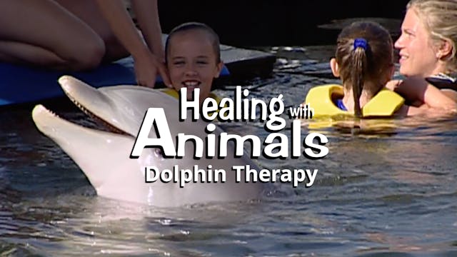 Healing with Animals: Dolphin Therapy