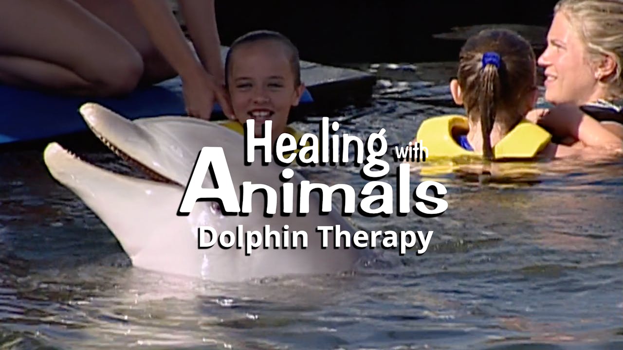 Healing with Animals: Dolphin Therapy